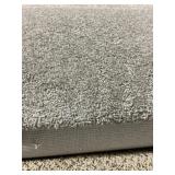 12 x 33 Gray Plush Carpet x 396Sq Ft