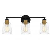 Ashley 3-Bulb Vanity Light in Black