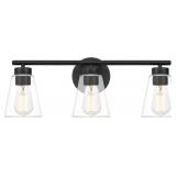 Ashley 3-Bulb Vanity Light in Black