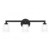 Ashley 3-Bulb Vanity Light in Black