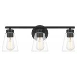 Ashley 3-Bulb Vanity Light in Black x 2