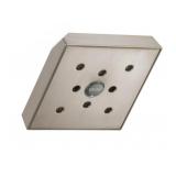 Delta (RP70171SS) Showerhead In Stainless