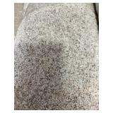 12 x 23 Light Multi-Tone Plush Carpet x 287SF