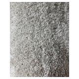 12 x 17 Platiunum Beige Plush Carpet x 204SF