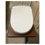 Washlet Bidet and Toilet Seat