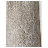 12 x 17 Beige/Tan Plush Carpet x 204Sq Ft