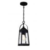 Quoizelï¿½ 1-Bulb Pendant in Black x 2
