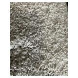 12 x 26.6 Plush Carpet in Platinum Cream x 318SF