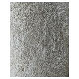 12 x 17 Plush Carpet in Beige x 204SF