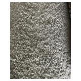 12 x 37.6 Plush Carpet in Light Gray x 450SF