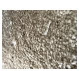 12 x 60 Plush Cream Carpet x 720SF