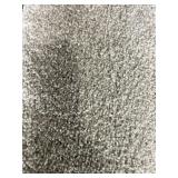 12 x 17 Plush Carpet in Light Gray x 204SF