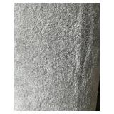 12 x 16.8 Plush Carpet in Platinum Gray x 200SF