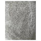 12 x 18 Plush Carpet in Beige x 216SF