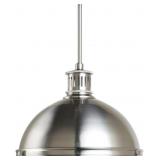 SeaGullï¿½ Pendant Light in Nickel