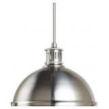 Seagullï¿½ Pendant Light in Nickel
