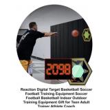 Gaifu Reaction Training Target