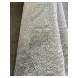 12 x 37.6 Plush Carpet Roll in Cream x 450SF