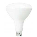 12Pk BR40 LED Daylight Replacement Bulbs