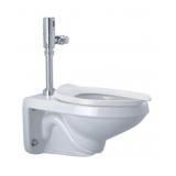 Zurnï¿½ Elongated Toilet with Flush Valve