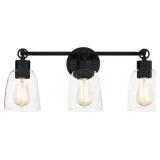 Quoizelï¿½ Seaton 3-Bulb Vanity Light in Black x 10