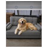52" Gray Dog Bed Sofa