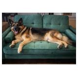 52" Green Dog Bed Sofa