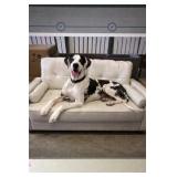 52" Beige Dog Bed Sofa