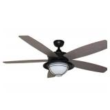 Braylin 52" Indoor/Outdoor Ceiling Fan