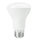 Case Of 40w LED Floodlight Bulbs x2