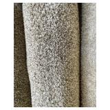 12 x 15 Plush Carpet Roll in Beige/White x 180SF
