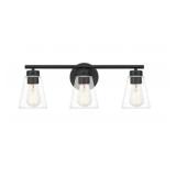 Ashley 3-Bulb Vanity Light in Black