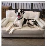 52' Beige Dog Bed Sofa