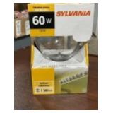 Case of (6) G25 Indoor Globe Light Bulbs x 3