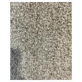 12 x 14 Plush Carpet Roll in Platinum Gray x 168SF