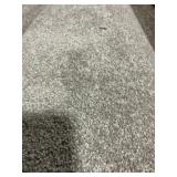 12 x 37.6 Plush Carpet in Platinum Gray x 450SF