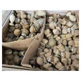 Gaylord of Assorted Treated Post Tops