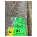 Carpet by the sq ft x 192