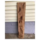 Lichtenburg burnt cedar wood slab