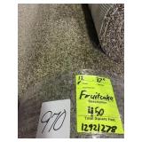 Carpet by the sq ft x450