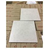 13in x 13in Ceramic Tile x791