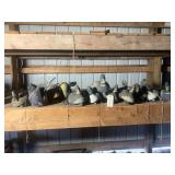 Qty 12 Duck Decoys
