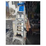 Werner Aluminum Ladder