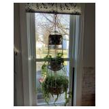 3 Tier Plants
