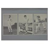 Cleveland Browns Team Picture Pack Pics 1950