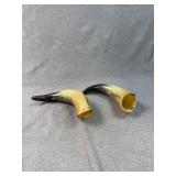 Polished Bovine Horns for Crafting & Decor