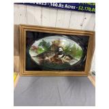 Hooded Merganser Taxidermy Shadow Box Frame
