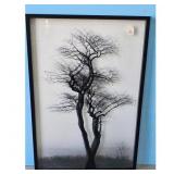 Nielsen Bainbridge Framed Art Print - Black Tree