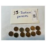 11- Indian pennies
