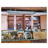 Items in Garage Cupboard/Counter